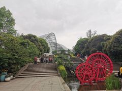 -南山植物园