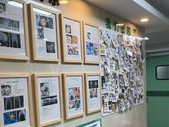 -半岛宠物医院24小时·内窥镜·牙科·碎石中心(府城大道店)