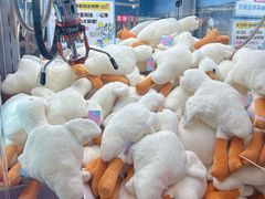 -小鹿的屋(广州花都融创茂店)