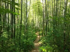 -南山风景名胜区