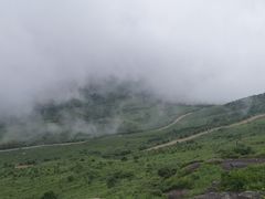 -东白山