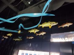 -同济大学四平路校区深海探索馆