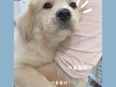 -派特宠物医院(圆融广场店)