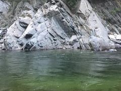 -黑河国家森林公园