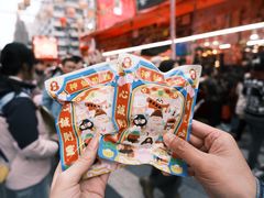 -越秀西湖花市(广州城市广场花卉店)