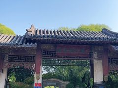 -团结湖公园