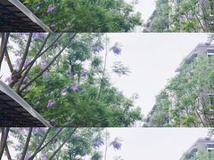 -NokNok Coffee(宽窄巷子店)