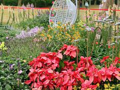 -广州市白云山风景名胜区