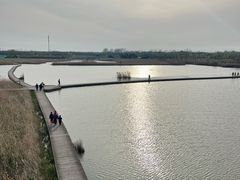 -盐城丹顶鹤湿地生态旅游区