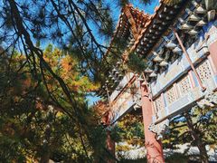 -潭柘寺景区