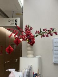 -上海首尔丽格医疗美容医院