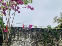 -水云间·园林餐厅(大龙店)