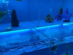 -怡咖啡·自助餐·西安香格里拉