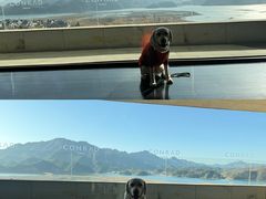 -杭州桐庐康莱德酒店西餐厅-舍