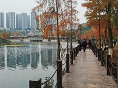 -重庆彩云湖湿地公园