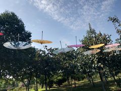 -西安汉城湖景区