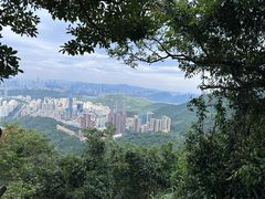 -梧桐山风景名胜区