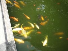 -荆川公园