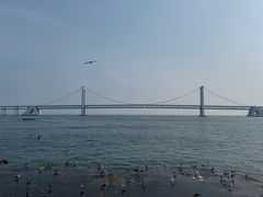 -星海广场