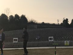 -秀丽东方