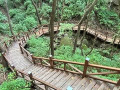 -大岭沟猕猴桃谷风景区