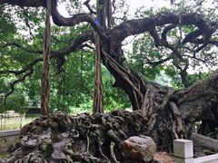 -小洲村