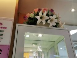 -深圳美莱医疗美容医院