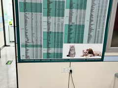 -中农国际动物医院24小时·猫科·骨科·急重症中心