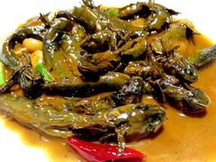 红烧跳跳鱼-宁海食府(大剧院店)