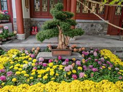 -迎泽公园