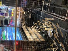-好彩猪肚鸡(正弘城店)