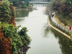 -广州市帽峰山景区