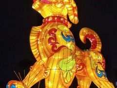 -万绿园