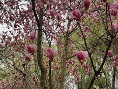 -白塘生态植物园