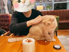 -猫小院猫主题餐厅(三里屯店)