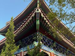 -天津妈祖文化园