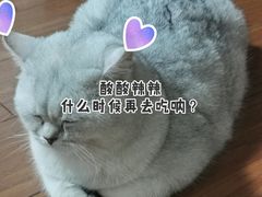 -尤素福东举院饺子馆