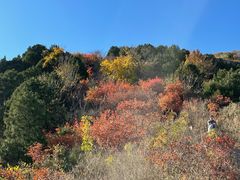-北京西山国家森林公园