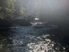 -九龙江国家森林公园