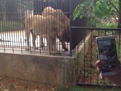 -广东茂名森林公园
