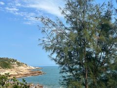-广东惠东海龟国家级自然保护区