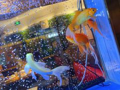 -一品渝香·好吖好鸭时尚干锅鸭头(乐汇城店)