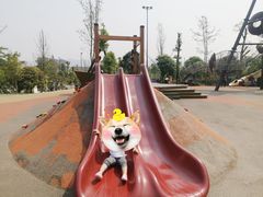 -枫香湖儿童公园