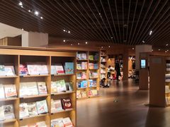 -新华文创·光的空间