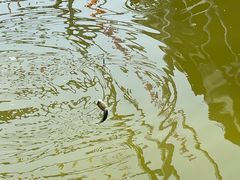 -北京上庄水库尚野露天户外自助烧烤