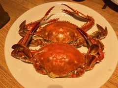 -连鹭海鲜·海肠捞饭·欢聚宴请(星海店)