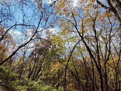 -五女峰国家森林公园