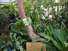 -国家植物园南园