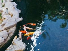 -道南書院·私房菜·早午茶·茶馆