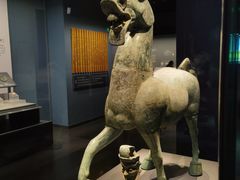 -广西壮族自治区博物馆